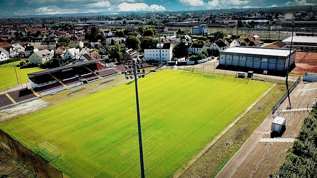 他不凡的进 他不凡的进