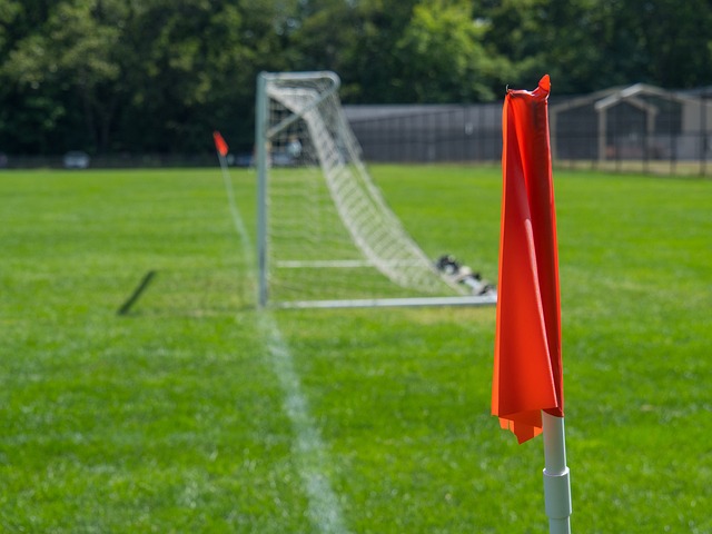 续约的背景 续约的背景