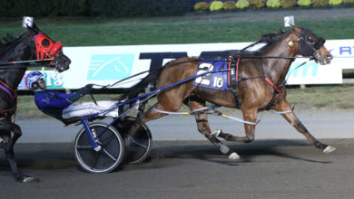 和对球队的 和对球队的