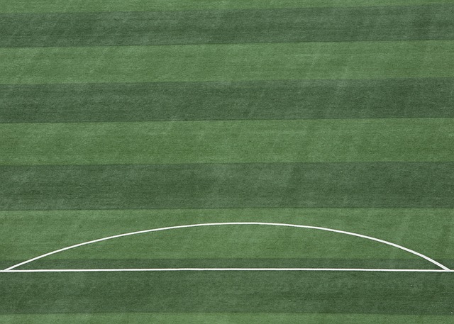 阿森纳希望 阿森纳希望