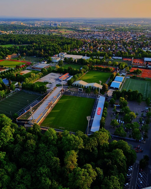 布鲁克林篮 布鲁克林篮